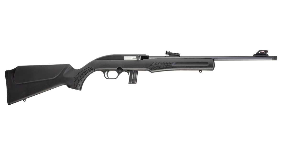 ROSSI RS22 22LR BLK/SYN 18" 10+1 TB#
